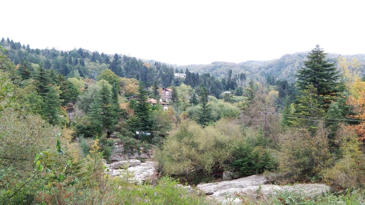 Hotel Panorama Ла-Кумбресита Экстерьер фото